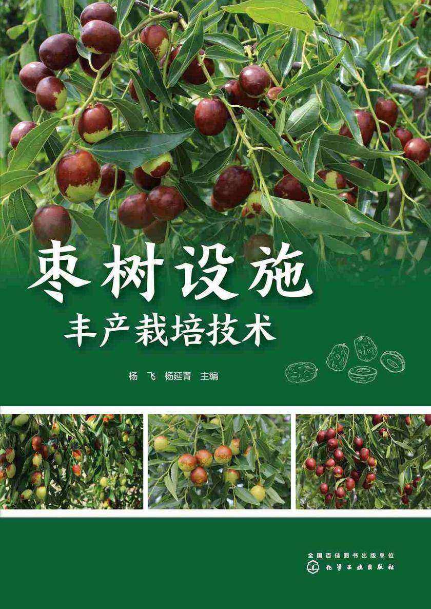 枣树设施丰产栽培技术