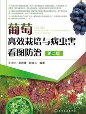 葡萄高效栽培与病虫害看图防治 第二版