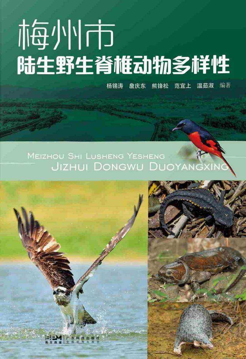 梅州市陆生野生脊椎动物多样性