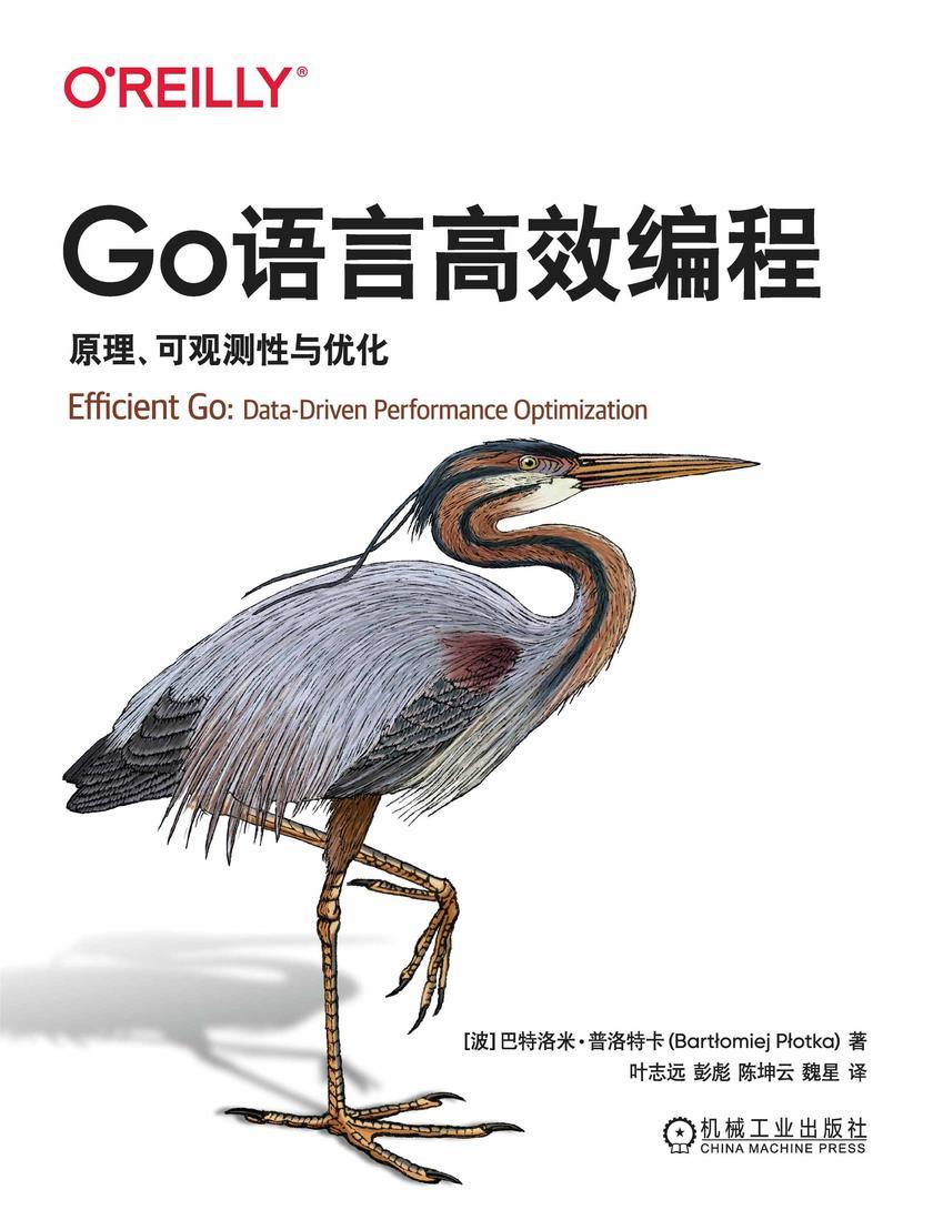 Go语言*编程:原理、可观测性与优化
