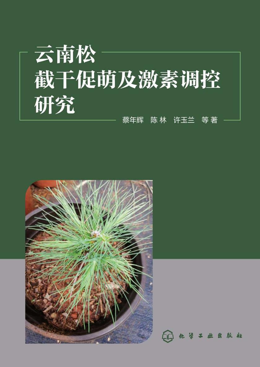 云南松截干促萌及激素调控研究
