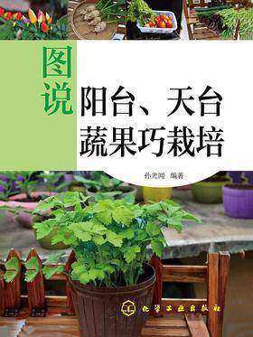 图说阳台、天台蔬果巧栽培