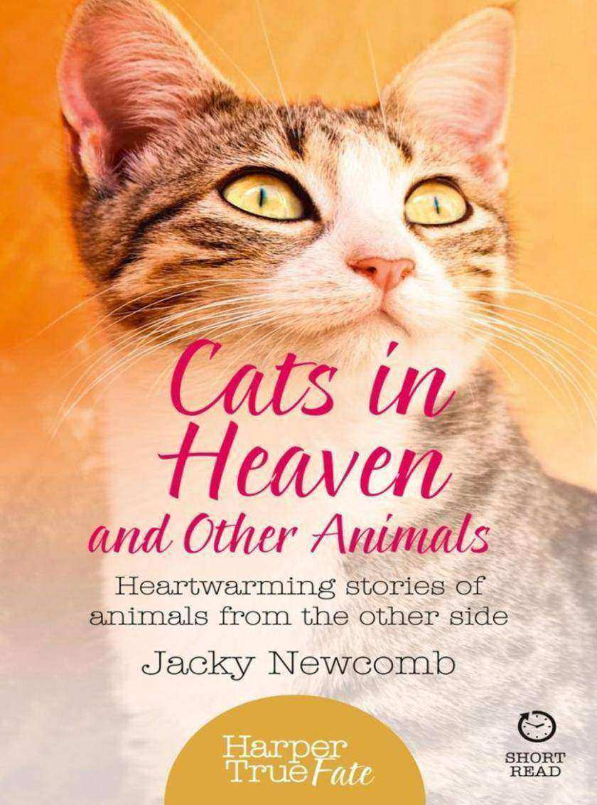Cats in Heaven: And Other Animals.
