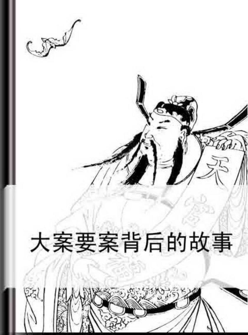 大案要案背后的故事