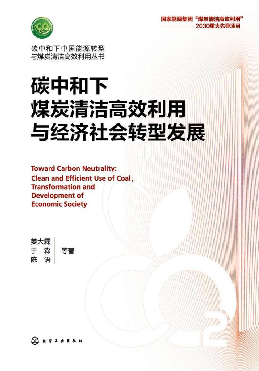 碳中和下中国能源转型与煤炭清洁*利用丛书--碳中和下煤炭清洁*利用与经济社会转型发展