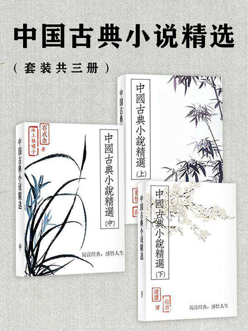 中国古典小说精选(套装共三册)
