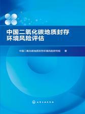 中国二氧化碳地质封存环境风险评估