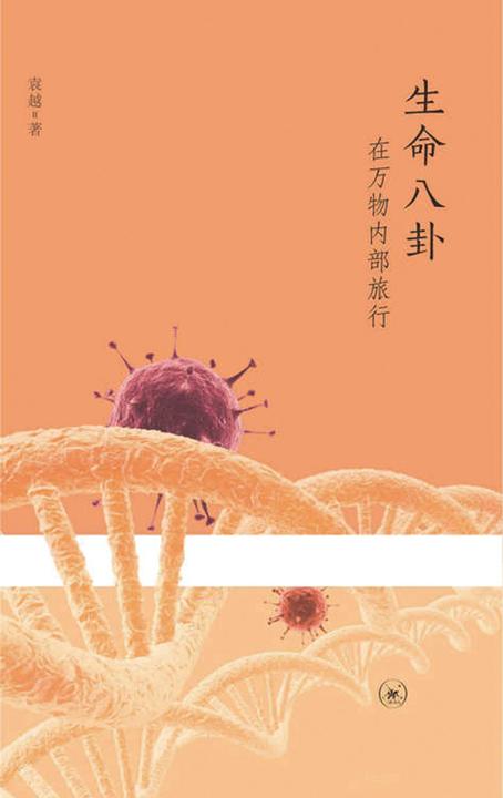 生命八卦：在万物内部旅行