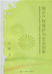知识产权保护与企业创新(试读本)