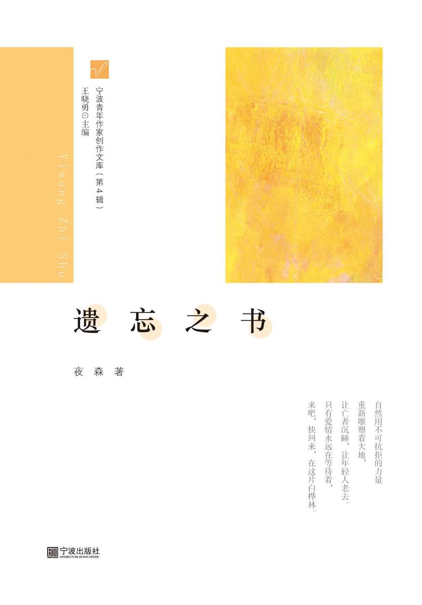 宁波青年作家创作文库(第4辑) 遗忘之书