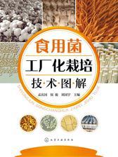 食用菌工厂化栽培技术图解