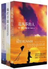 追风筝的人系列套装（全三册）(试读本)