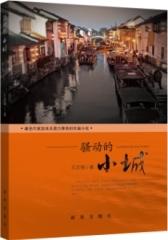 骚动的小城(试读本)