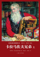 世界名著名译文库·陀思妥耶夫斯基集(04):卡拉马佐夫兄弟(套装共2册)