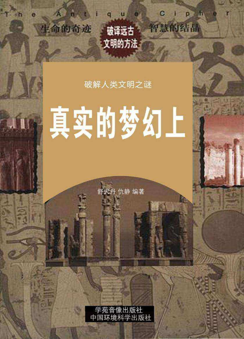 真实的梦幻(上册)