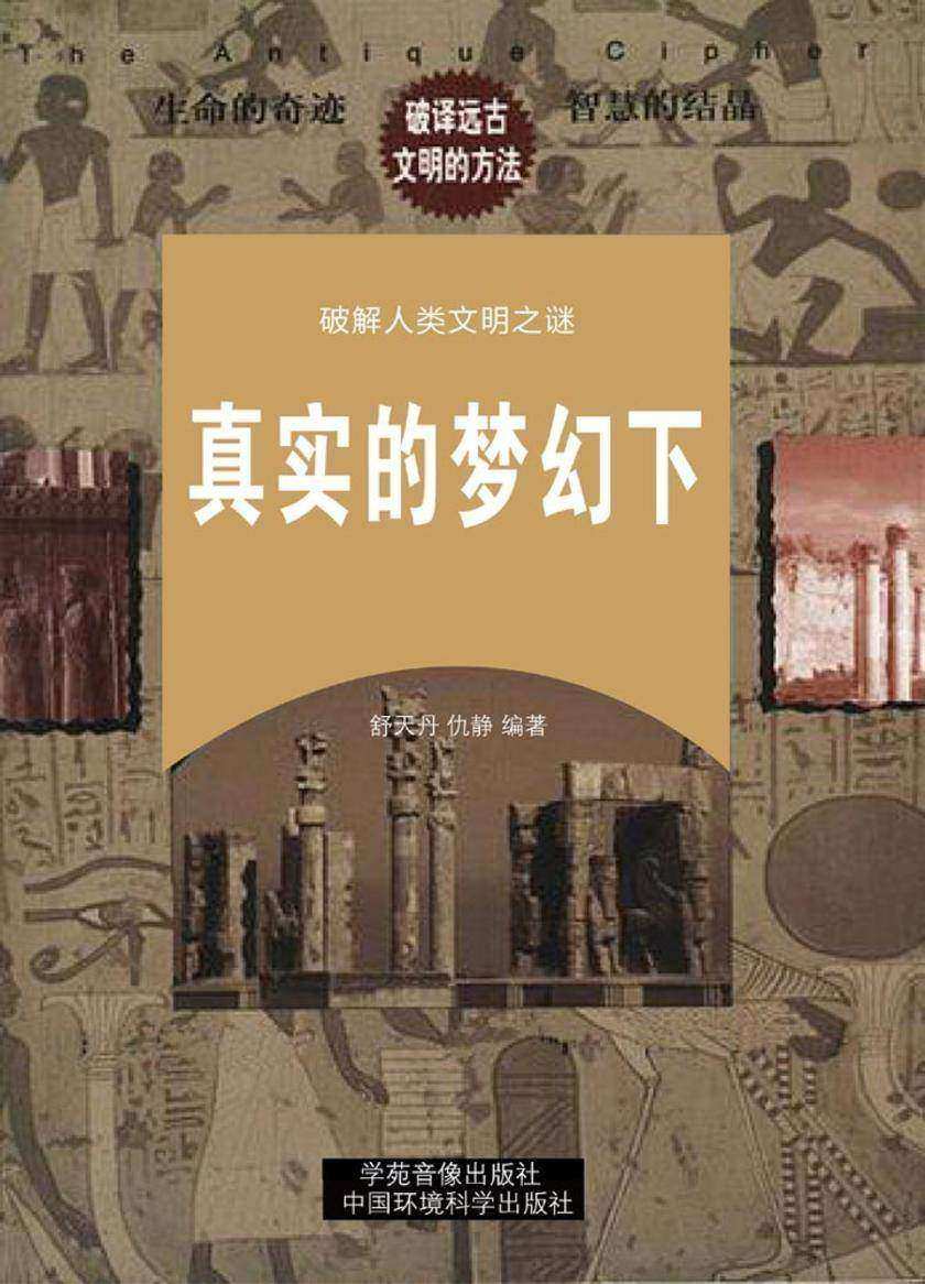 真实的梦幻(下册)