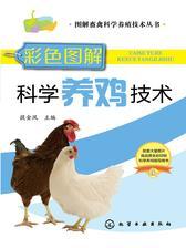 彩色图解科学养鸡技术