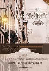 我在香榭丽舍等你(试读本)
