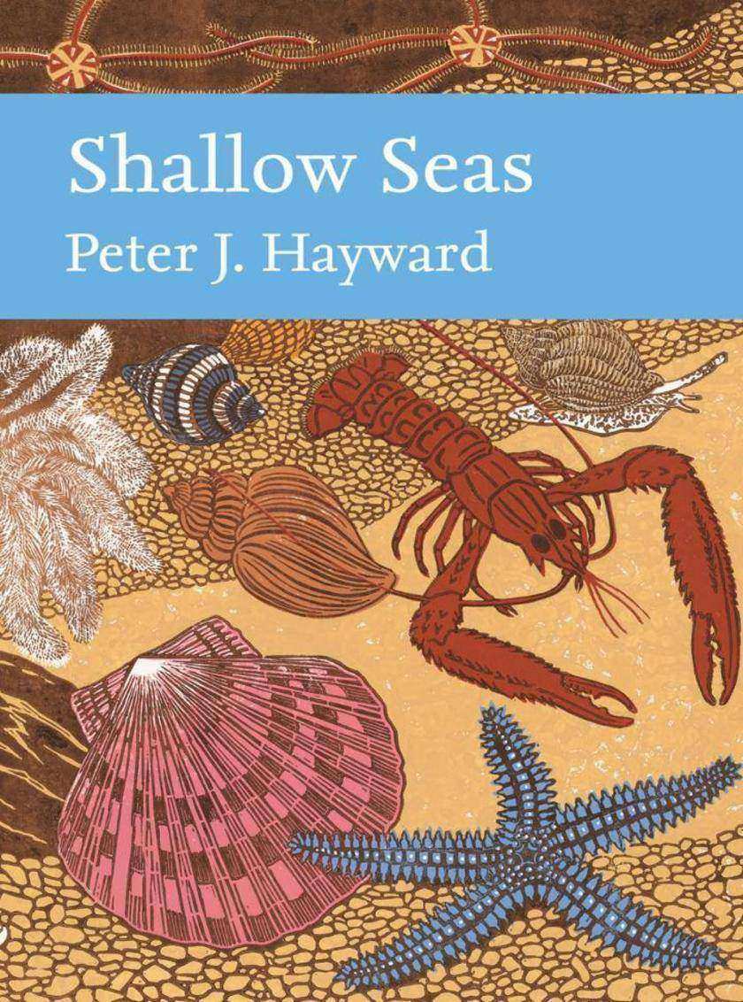 Shallow Seas (Collins New Naturalist Library, Book 131)