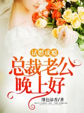 试婚成瘾：总裁老公晚上好
