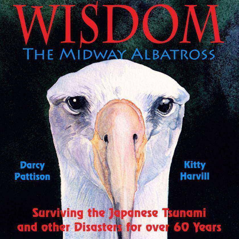 Wisdom, the Midway Albatross: Surviving the Japanese Tsunami and Other Disasters