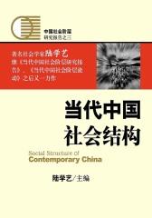 当代中国社会结构
