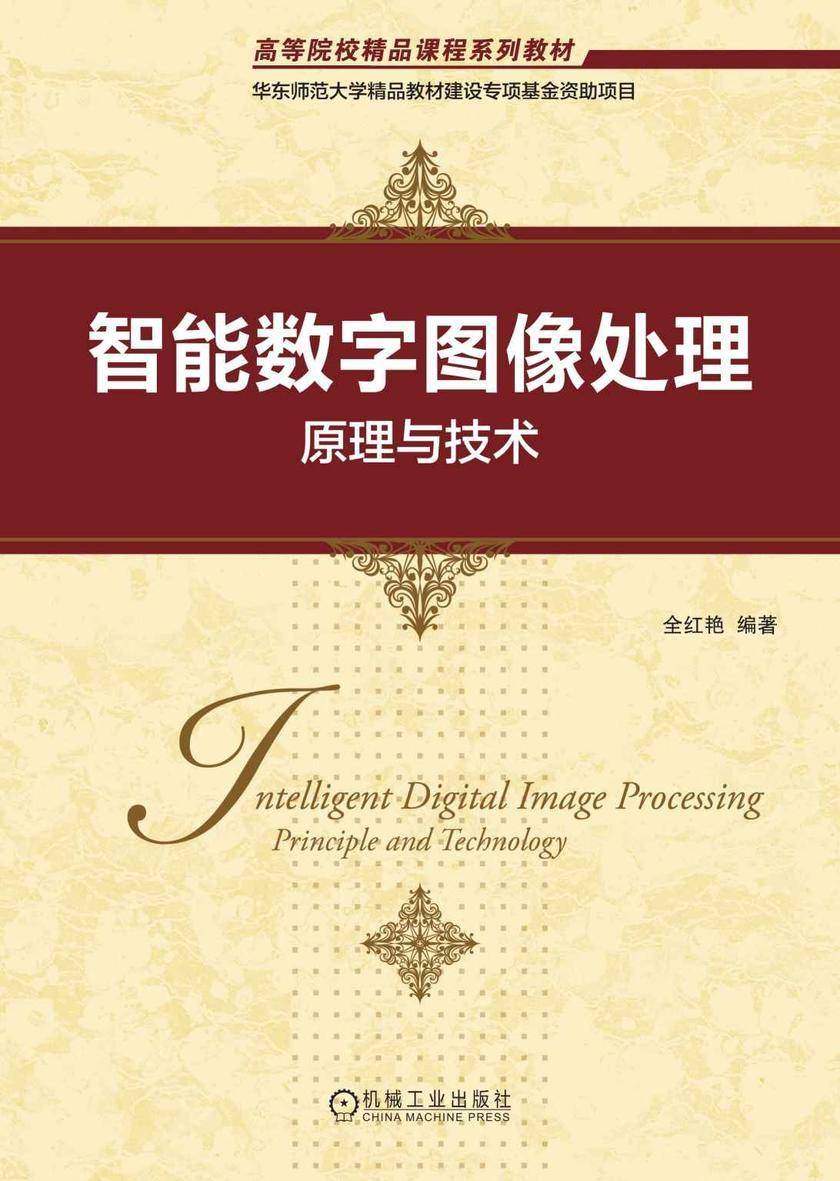 智能数字图像处理:原理与技术