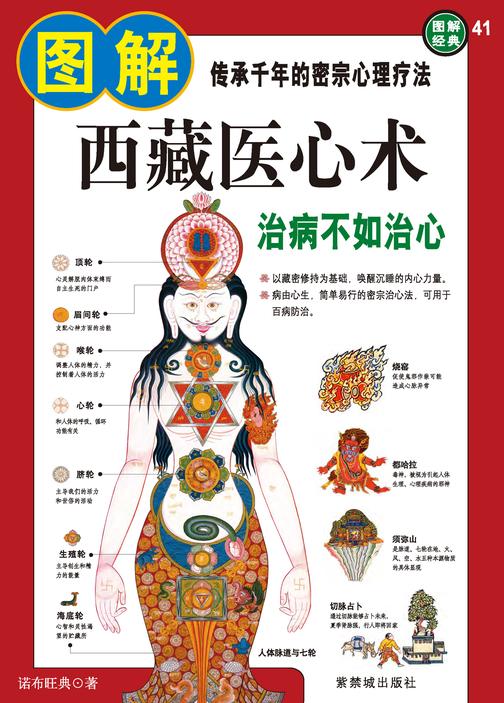图解西藏医心术
