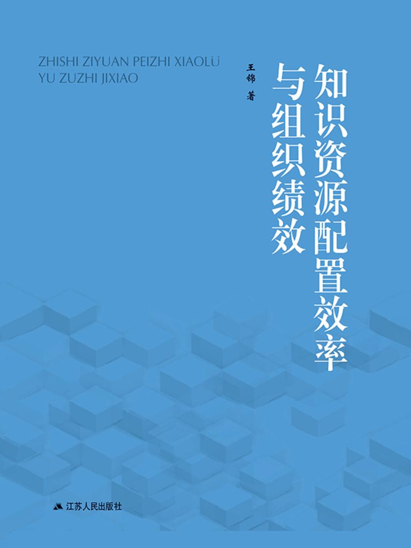 知识资源配置效率与组织绩效