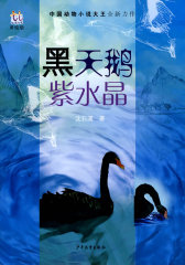 淘淘丛书·黑天鹅紫水晶(试读本)
