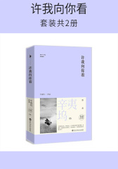 许我向你看(套装共2册)