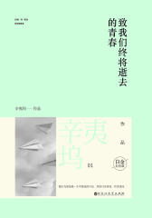 致我们终将逝去的青春.白金纪念版【精排本】