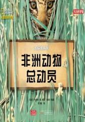 非洲动物总动员