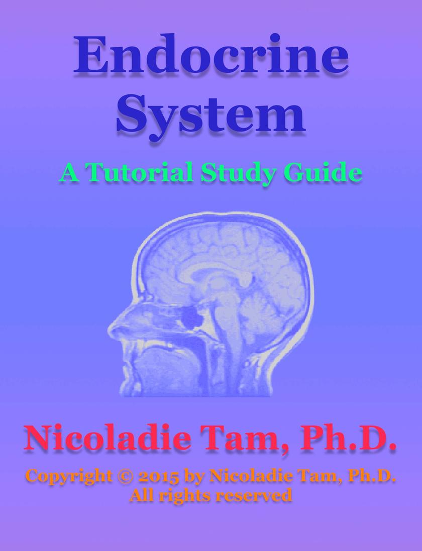 Endocrine System: A Tutorial Study Guide