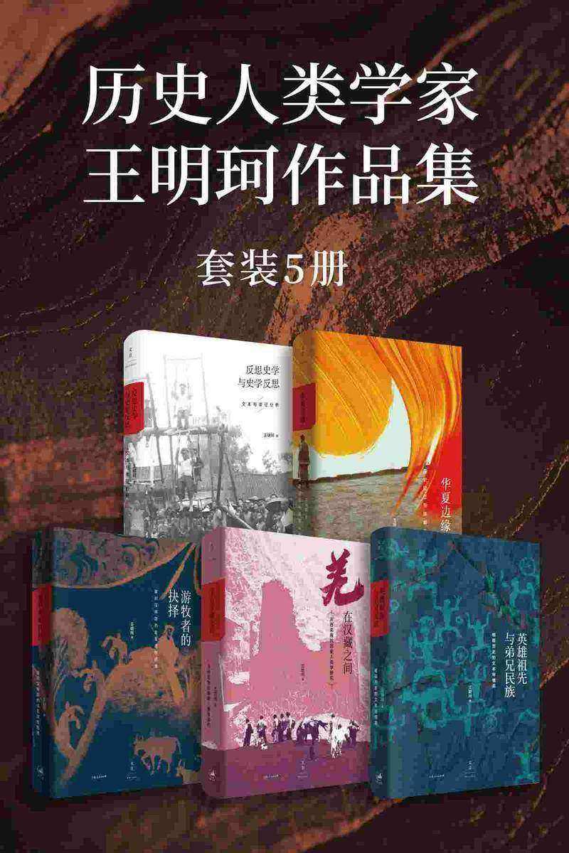 历史人类学家 王明珂作品集(套装5册)