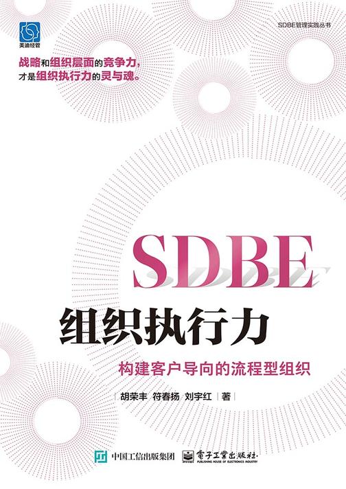 SDBE组织执行力:构建客户导向的流程型组织