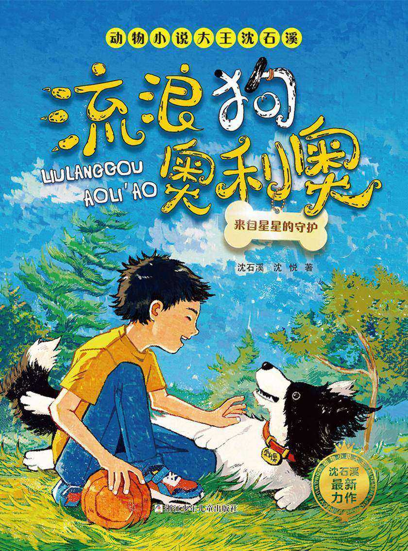 流浪狗奥利奥:来自星星的守护