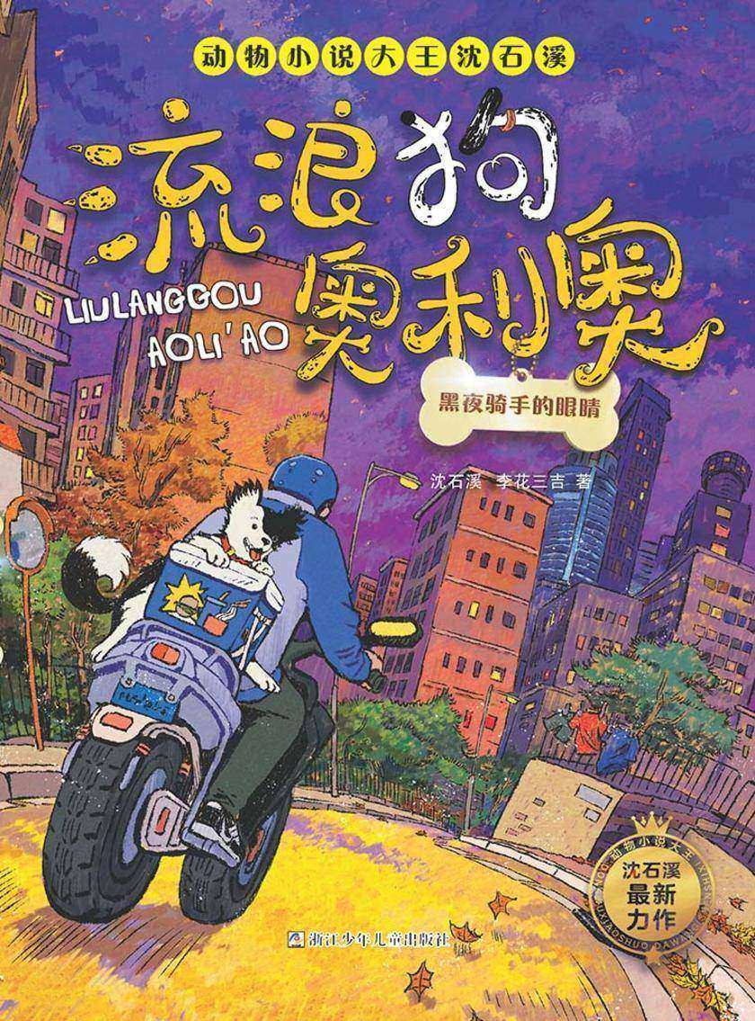 流浪狗奥利奥:黑夜骑士的眼睛