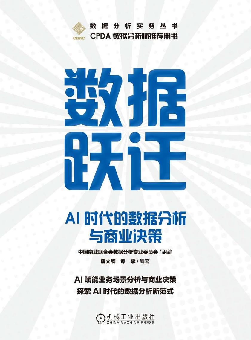 数据跃迁:AI时代的数据分析与商业决策