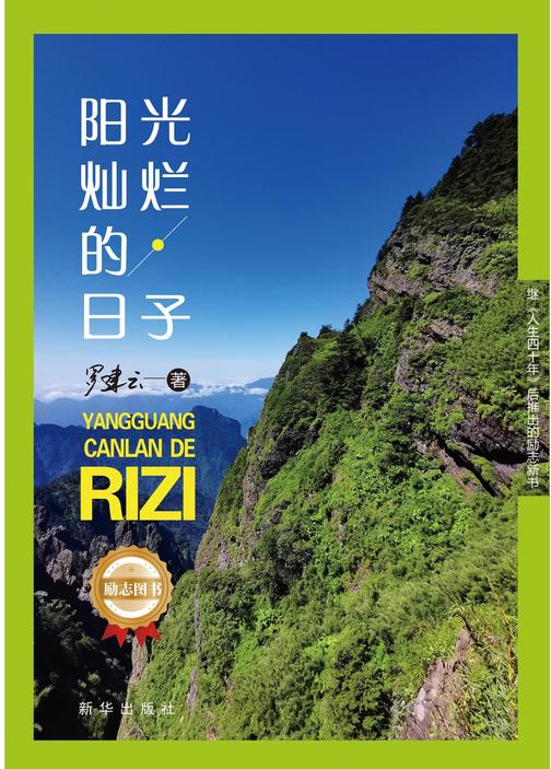 阳光灿烂的日子