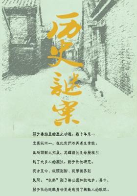 历史谜案