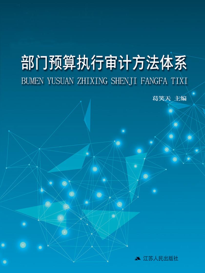 部门预算执行审计方法体系