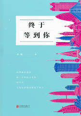 终于等到你(本书聚焦都市不婚现象，反映都市女性在婚姻情感中面临的尴尬处境，剖析不婚主义背后的根源问题，容易引发共鸣。)
