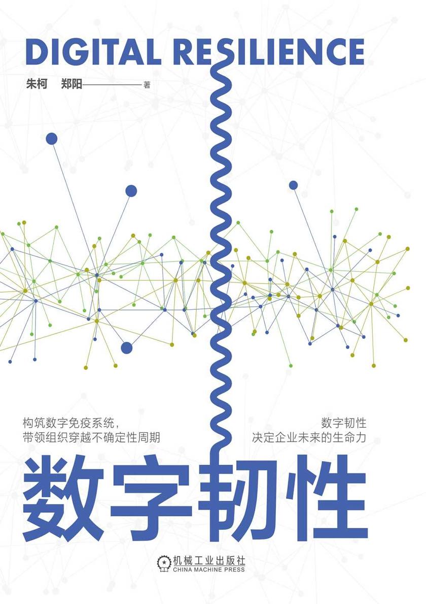 数字韧性