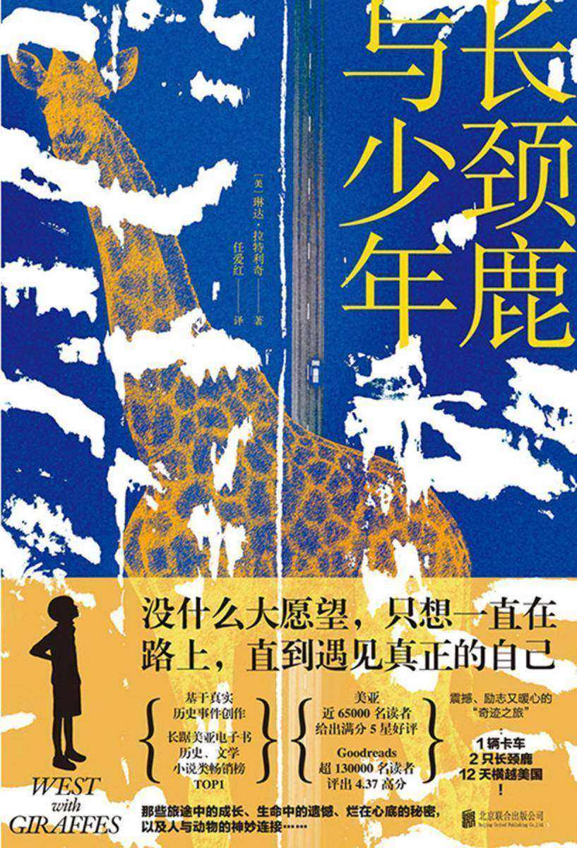 长颈鹿与少年
