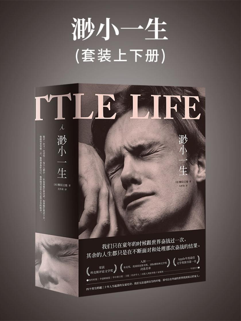 渺小一生(套装上下册)