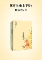 迷雾围城(上下卷)