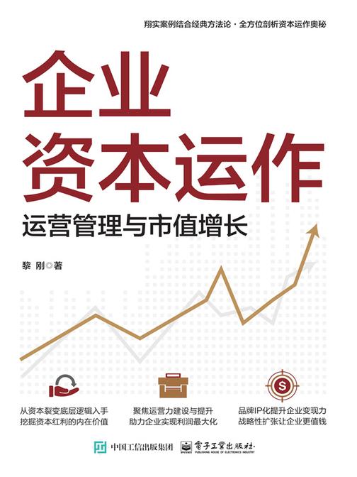 企业资本运作:运营管理与市值增长