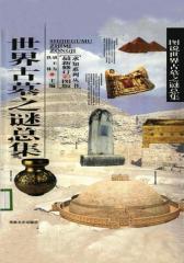 世界古墓之谜总集