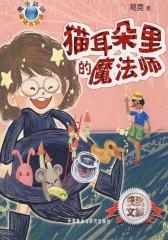 猫耳朵里的魔法师(魔法姐姐童话水晶球)